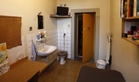 Harfang Voyageur Un Prisonnier