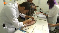 Pesquisadores da UFPE analisam conteúdo gastrointestinal da pescada-amarela Pesquisadores da UFPE analisam conteúdo gastrointestinal da pescada-amarela
