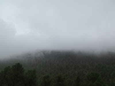 Niebla en el Gran Atlas