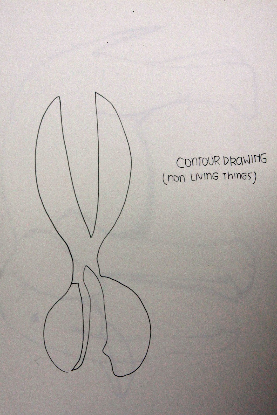 Hey, I'm Jesslyn.: Line Directions