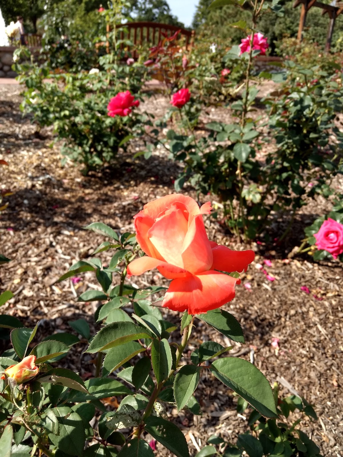 Https Www Bukalapak Com P Fashion Pria Kaos 165 1l0k5ac Jual