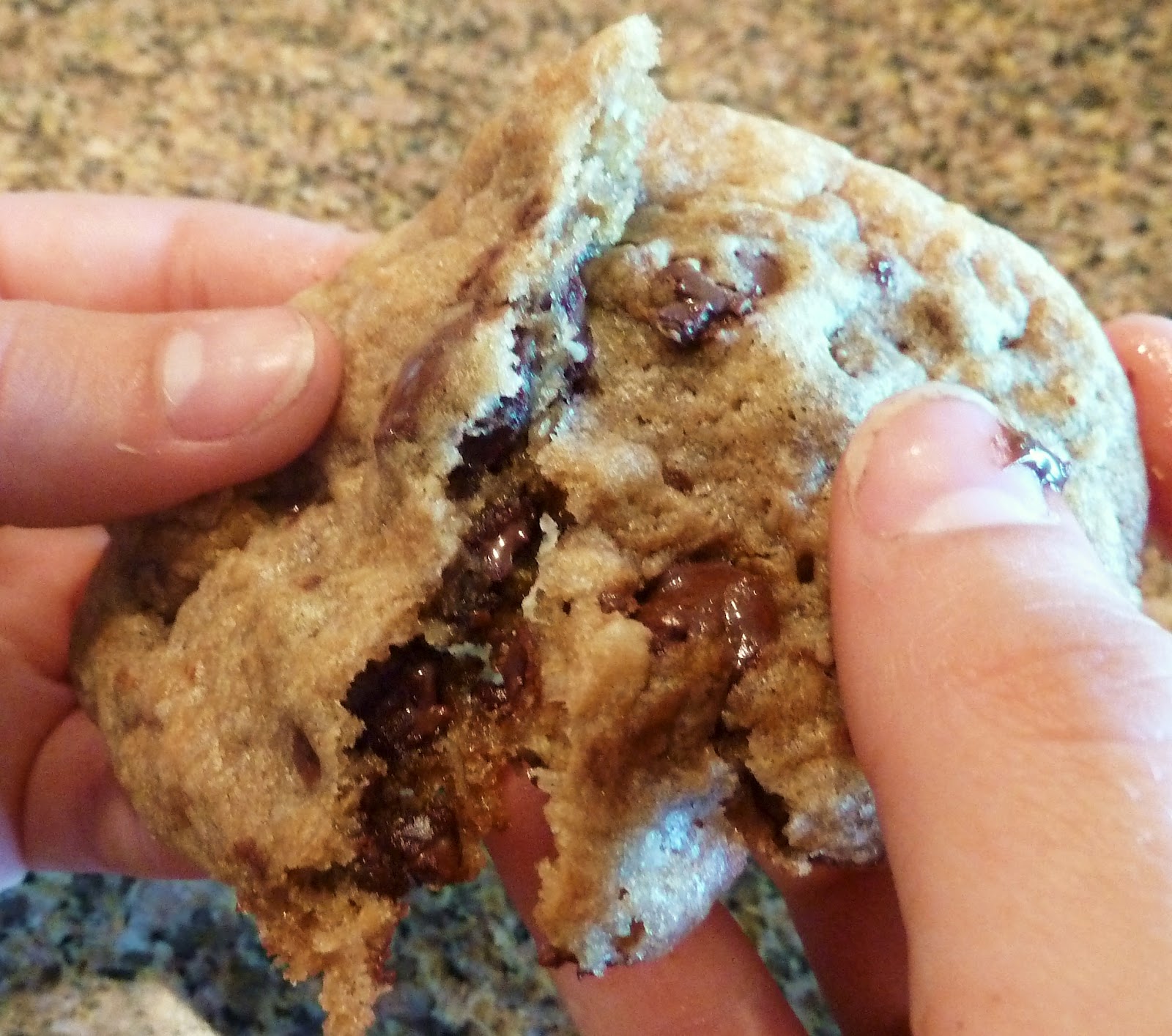 Our Cooking Cafe Doubletree Chocolate Chip Cookies (w/ Toasted Coconut)
