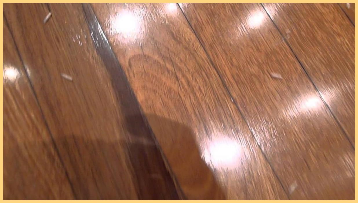 14 Tiny White Worms In Kitchen GLRG LUCIA LOVE'S BLOG