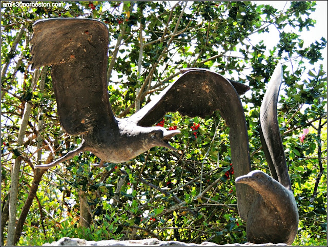 Dallas Arboretum & Botanical Garden: "Two Sea Gulls"