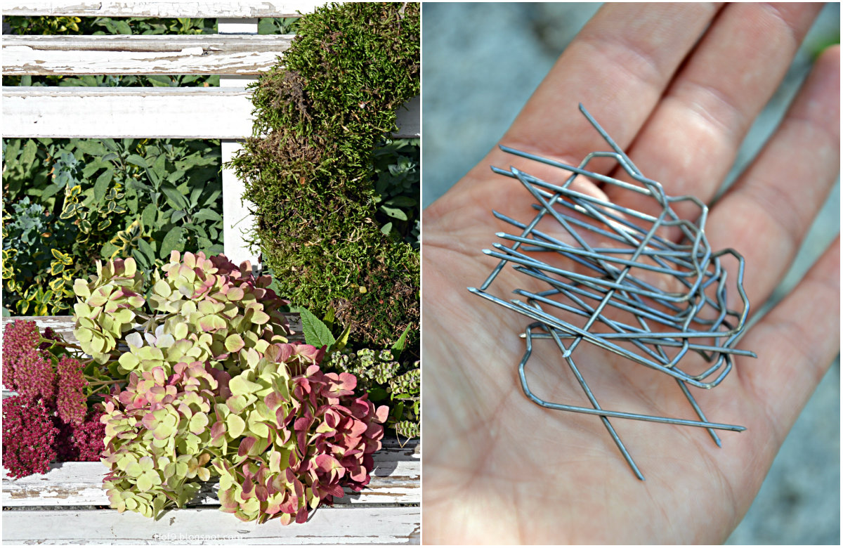 Wilmas Miniaturen Dioramen Mini Kunst Februar 2013