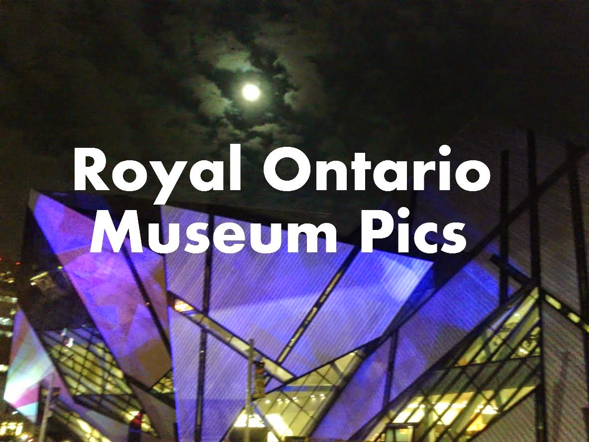 Royal Ontario Museum Pictures