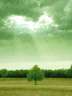 Two Men and a Little Farm: RAIN RAIN GLORIOUS RAIN