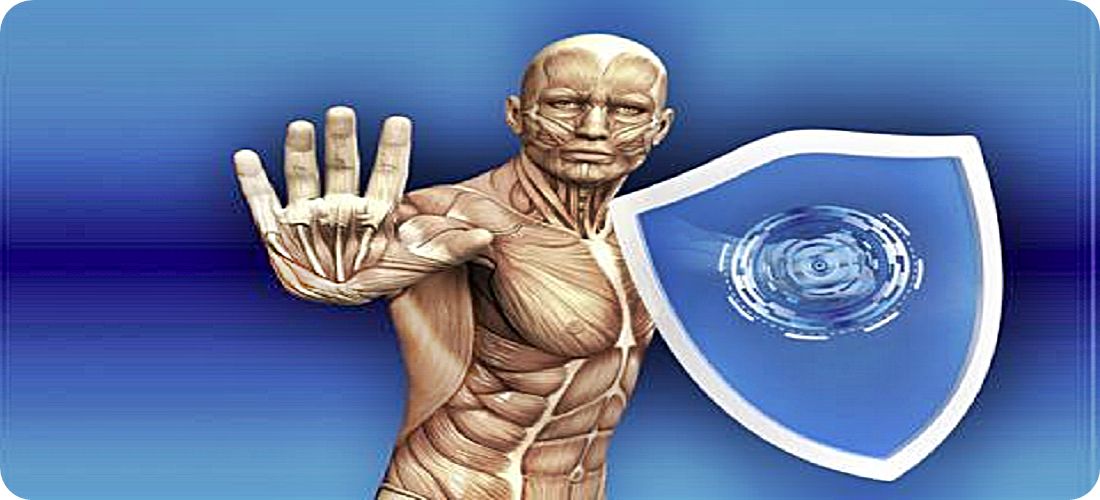 El sistema inmunologico es activado por la proteina GcMAF sistema-inmune-armas