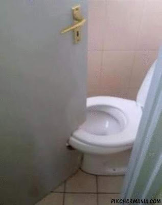 funny toilet cutted door
