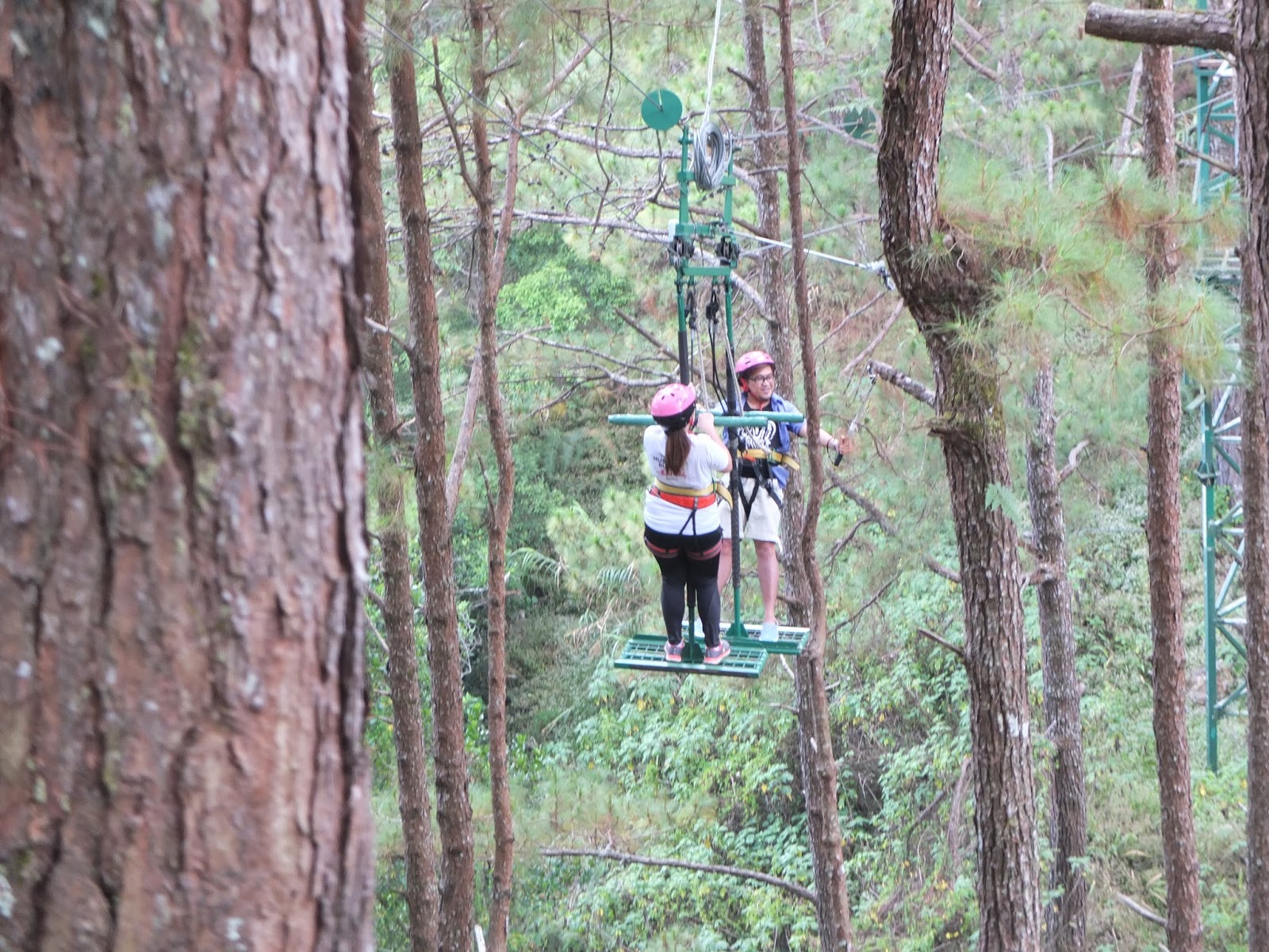5 Hugot Lines at Tree Top Adventure Baguio The Filipino Rambler