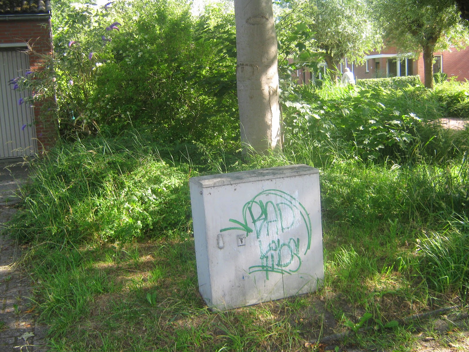 BEIJUMNIEUWS GEKKEN EN DWAZEN BLIJVEN VERBAZEN