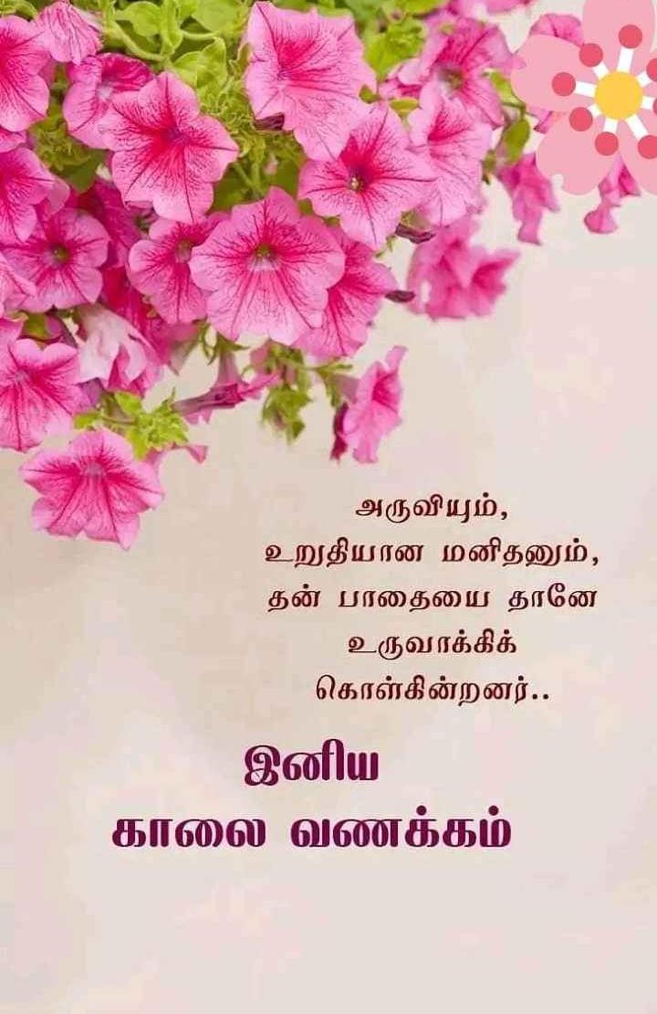 Whatsapp Status Dp 150 Good Morning Whatsapp Status In Tamil