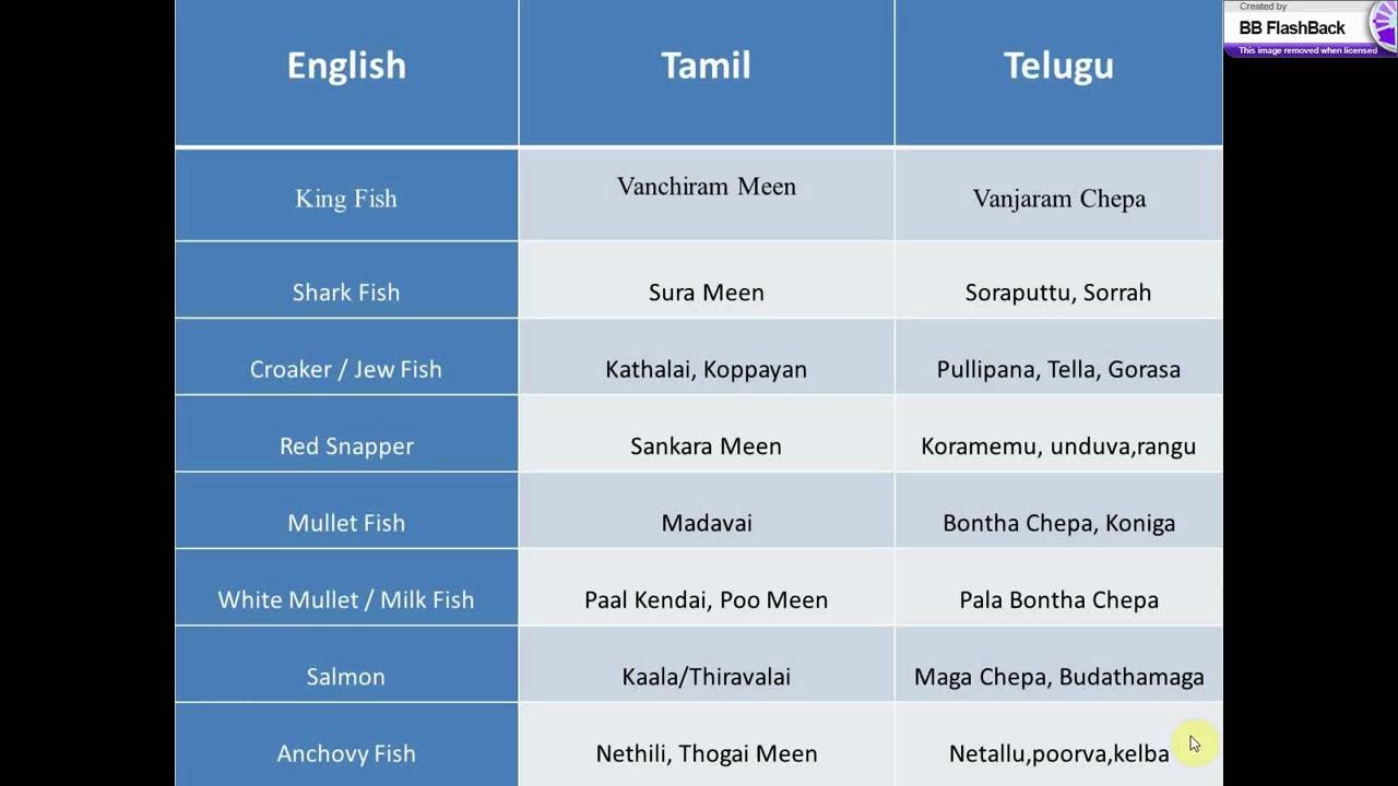 salmon fish in telugu Scribd india