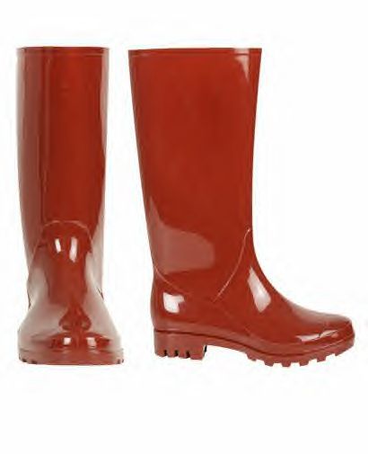 rain boots england