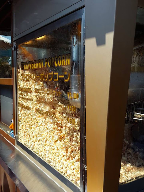 10D9N Spring Japan Trip: Popcorn Wonder at Tokyo Disneysea, Japan