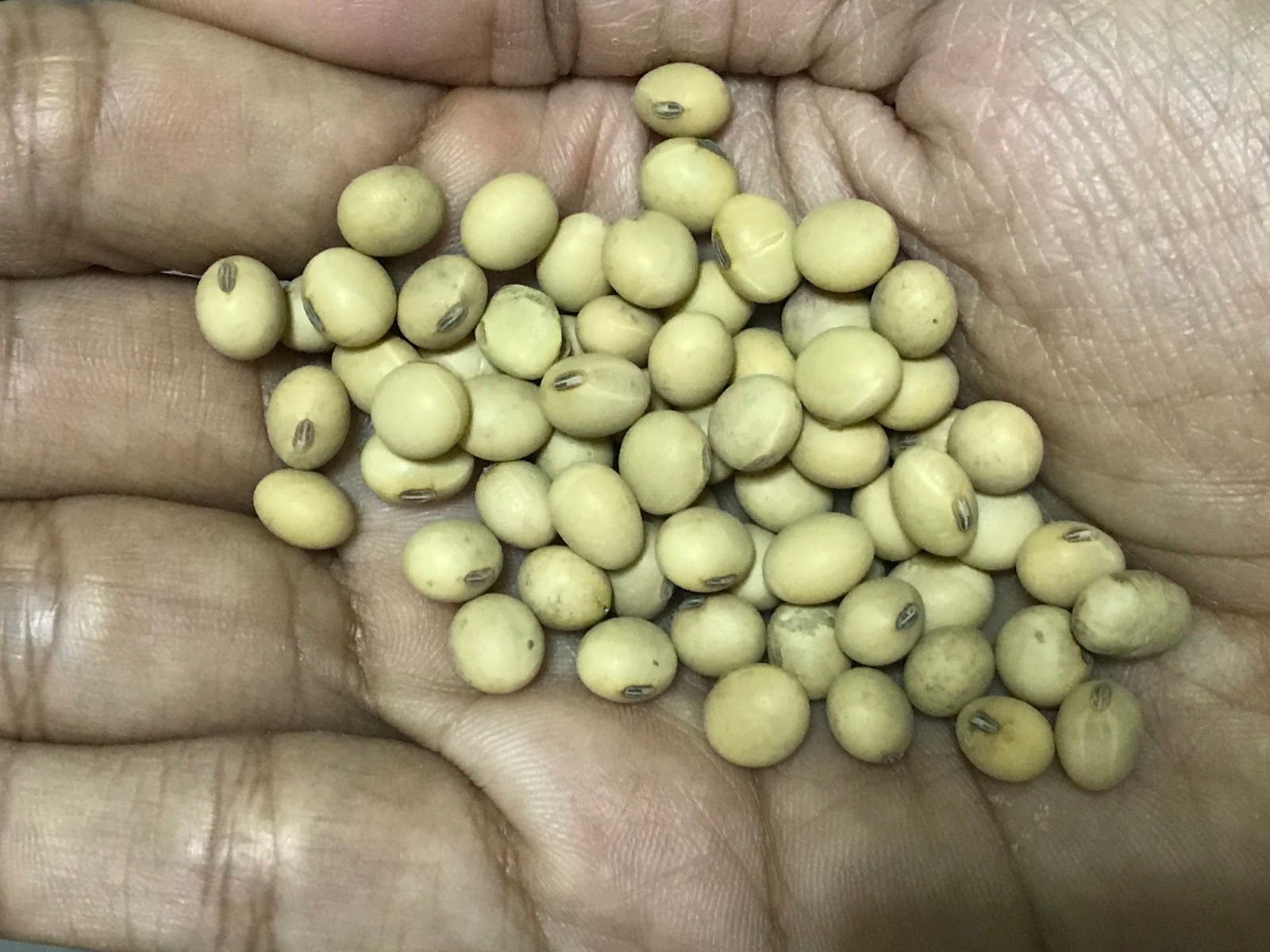 Jothi Cooking Book Soybean Curry