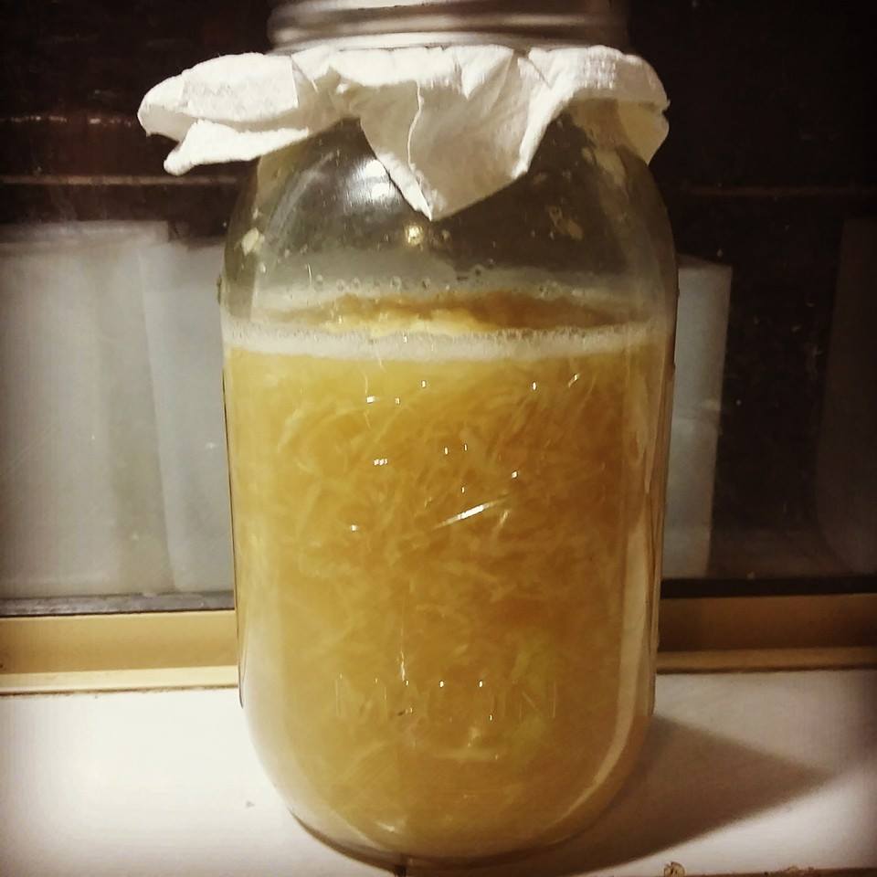 FOOD PRESERVING GINGER BUG & GINGER BEER