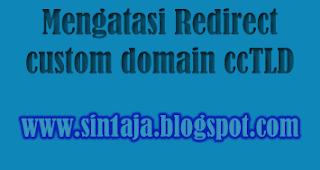 Cara Mengatasi redirect domain custom ccTLD