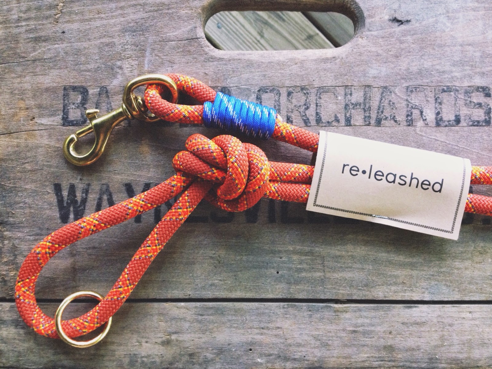 {Our Favorite Dog Leash} | Today's Letters | Bloglovin’