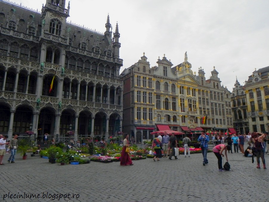 Grand Place din Bruxelles Grand Place din Bruxelles