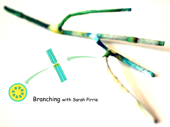 Branching
