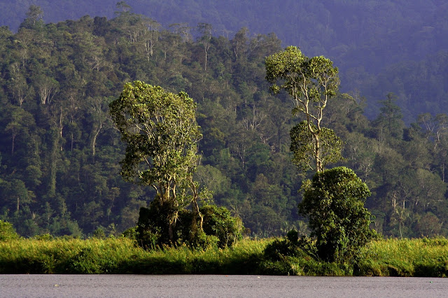 Taman Nasional Lore Lindu