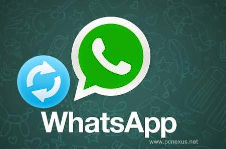 whatsapp restore messages android pcnexus phone