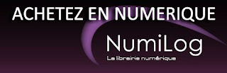 http://www.numilog.com/fiche_livre.asp?ISBN=9782290097021&ipd=1017