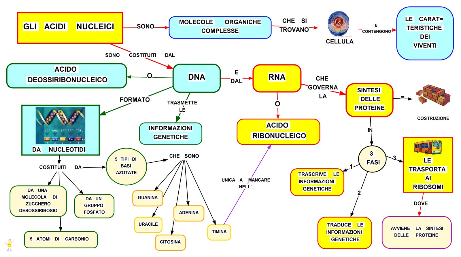 MAPPER ACIDI NUCLEICI MAPPER ACIDI NUCLEICI