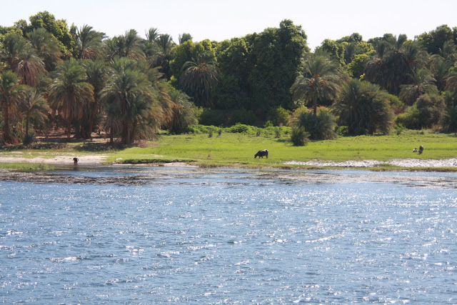O RIO NILO, o maior rio do mundo e a fonte de vida e a alma do Egipto | Egipto