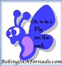 Fly on the Wall | www.BakingInATornado.com | #MyGraphics