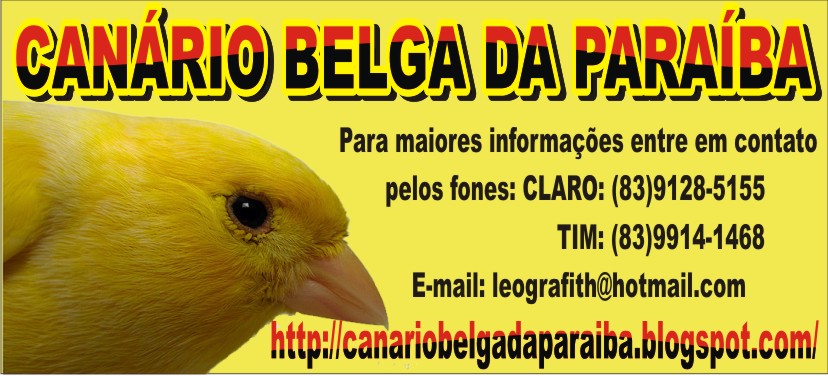 Canário Belga da Paraíba