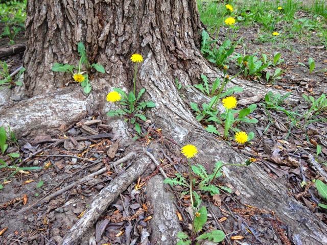 冬のサンパウロファッションウィークのラインナップが発表