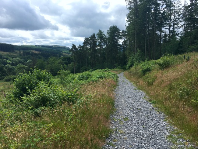 Garwnant-the-wern-walk-gravel-path