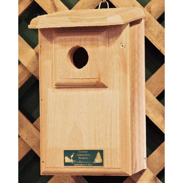 Bird In Everything Cardinal Bird House Dimensions