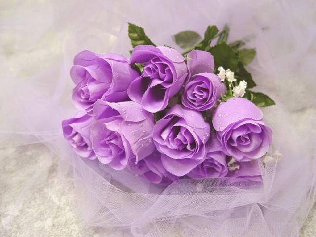 Ý nghĩa hoa hồng tím - Purple roses