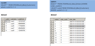 Implementation Approaches to Data Sub-setting