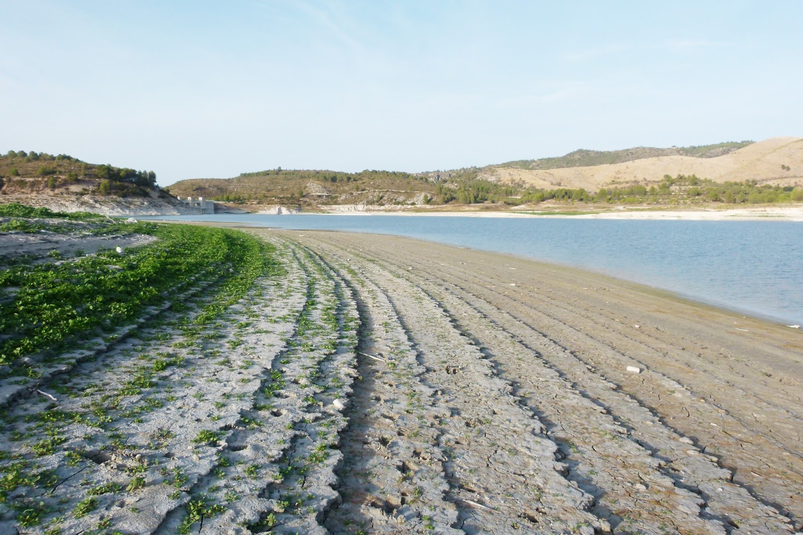 La línia de Wallace 2016