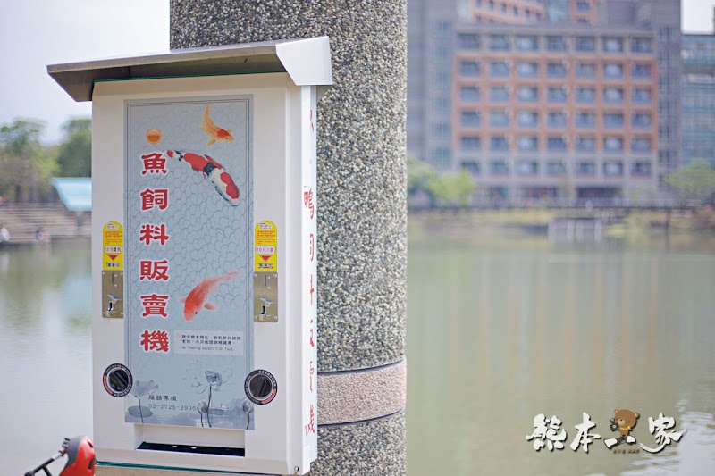 心湖櫻緣|三峽台北大學「心湖櫻花步道」-杜鵑、吉野櫻、木棉花齊綻放