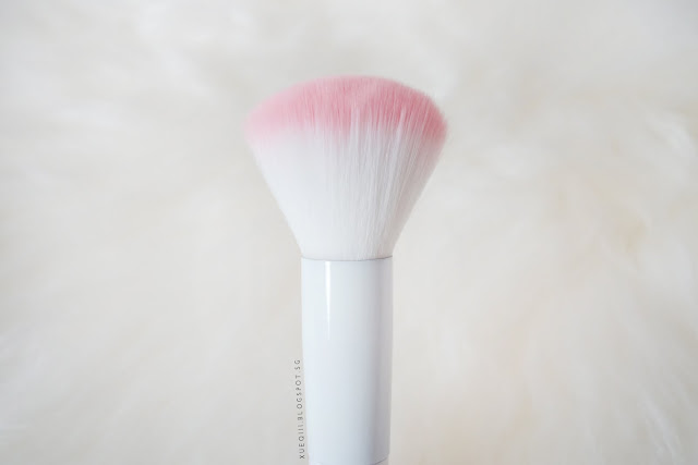 Wet n Wild Haul & First Impressions | Powder Brush