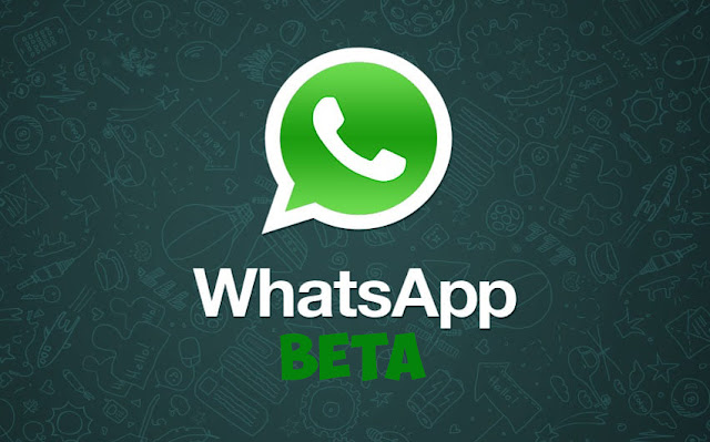 What is WhatsApp Beta? What is WhatsApp Beta?