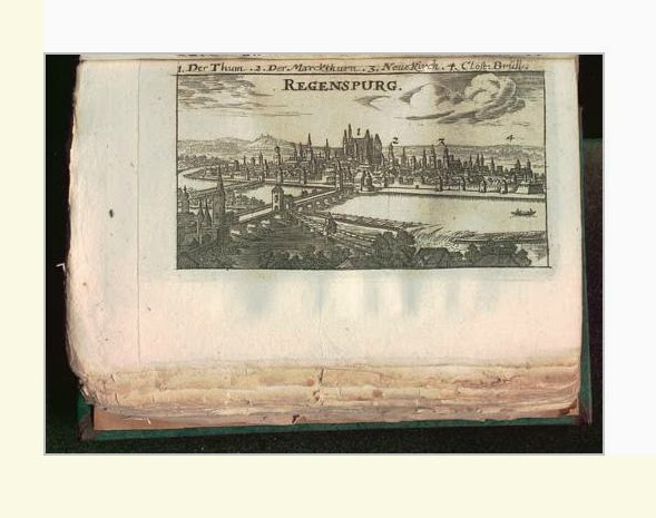 Regensburger Tagebuch Regensburg In Der Literatur Der Treue