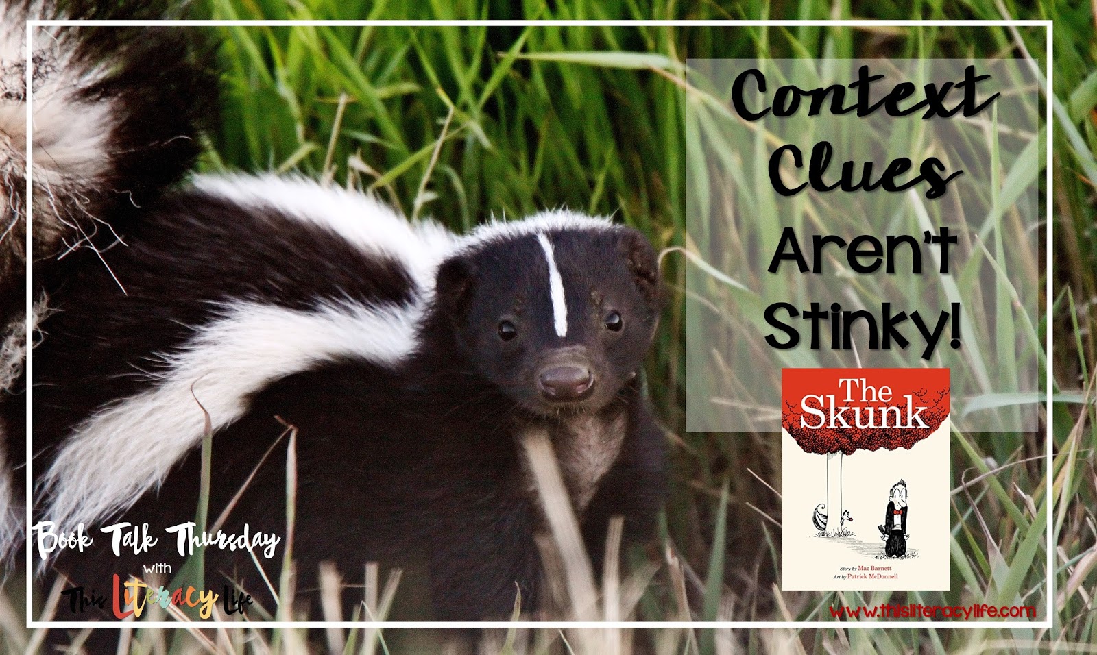 Context clues can be tricky for many students, but the fun book The Skunk will have students thinking about the words and how the young man will get away from the skunk!
