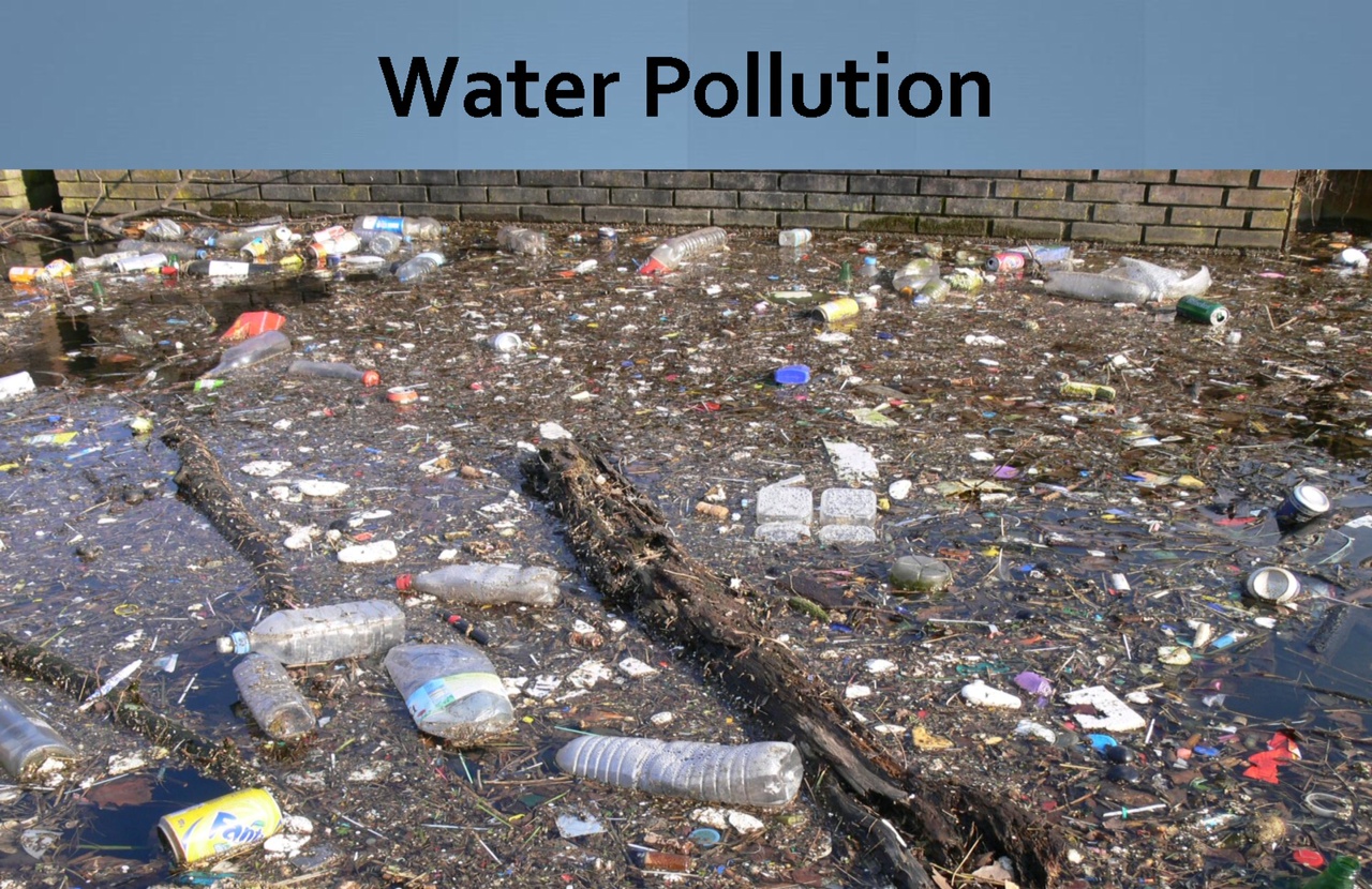 Ecopol Project Portland State University Water Pollution