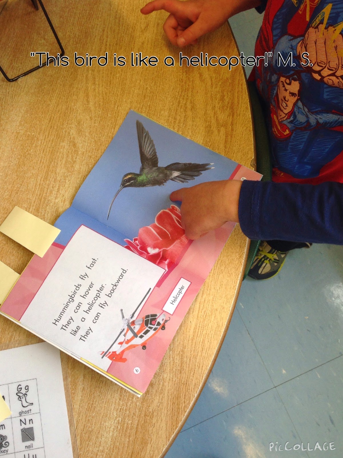 Wonders in Kindergarten: Bats have fur, birds have feathers! Using a