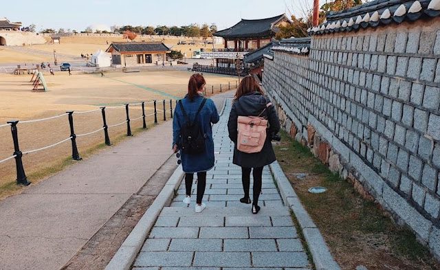 a photo of Rootote, Japanese multi-functional totes and backpacks review