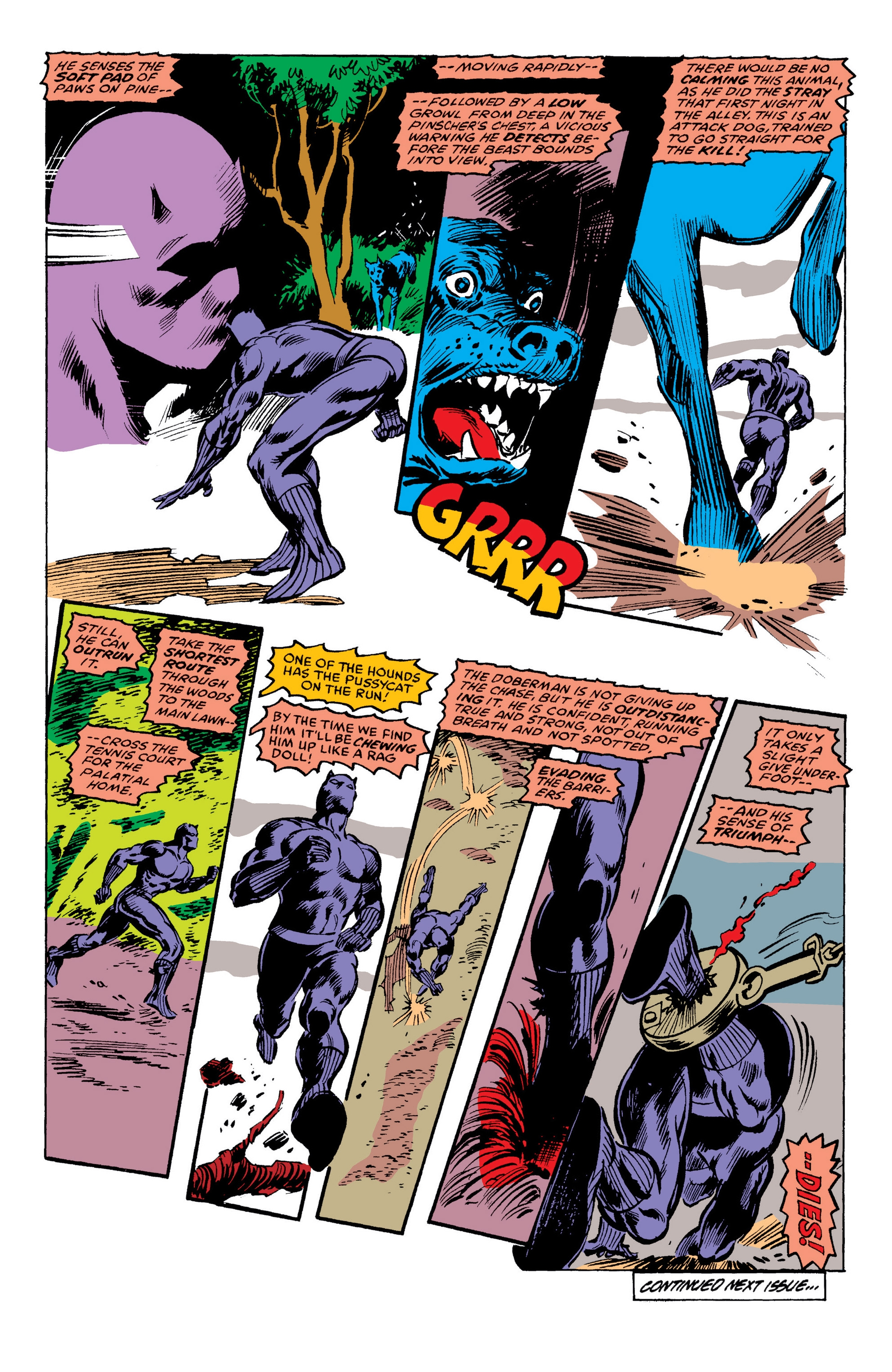 Read online Black Panther: Panther's Quest comic -  Issue # TPB - 193