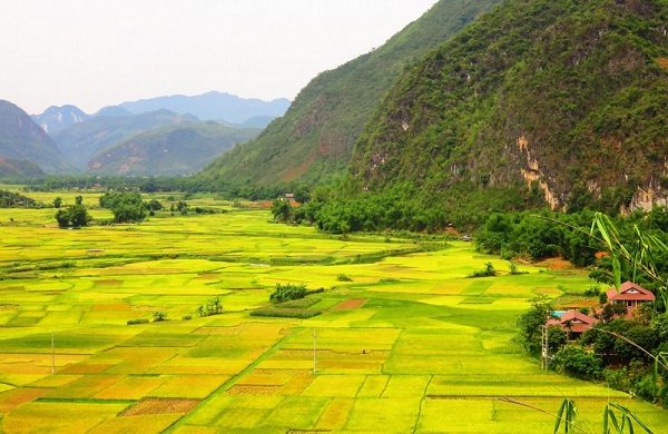 "Ngây ngất" Hình ảnh đẹp về làng quê Việt Nam đẹp như tranh