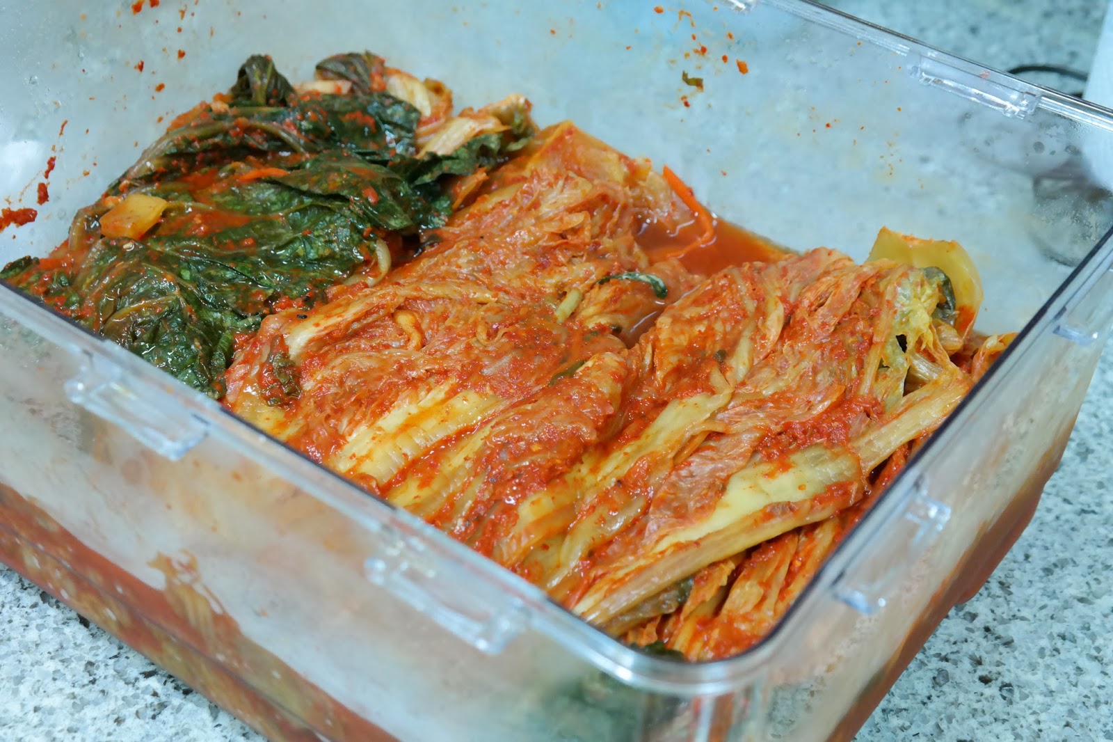Dumb in Daegu Cooking Braised Pork Shoulder Kimchi Jiggae (김치 찌개)