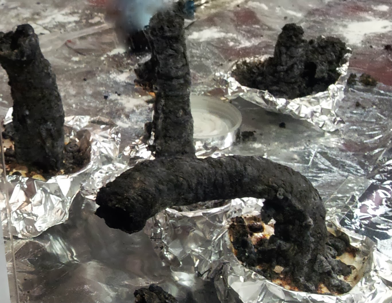 Creating Wonder the Petrosains Blog Turn Fire Into A Snake!